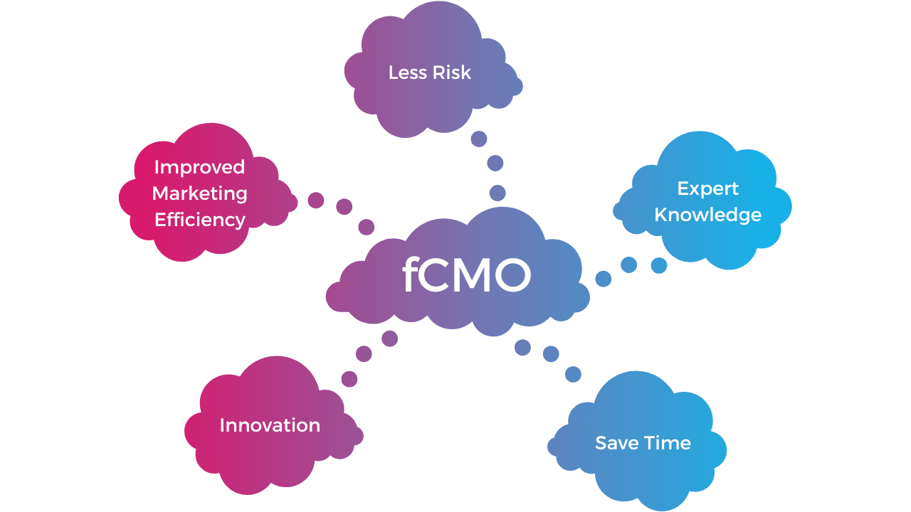 Fractional CMO Services